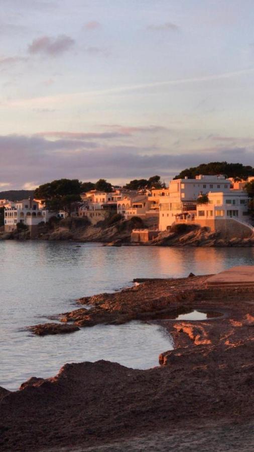 Just Experience Mallorca * Andraitx